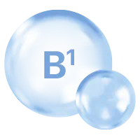 Витамин В комплекс (B1, B2, B6, B12, ниацинамид)