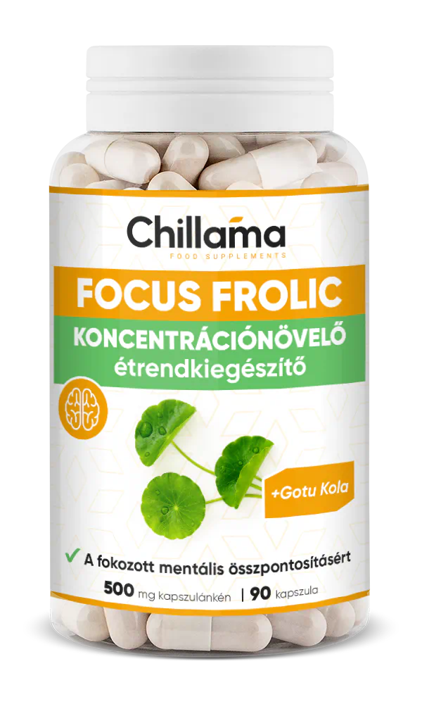 FocusFrolic - a maximális gondolkodásért