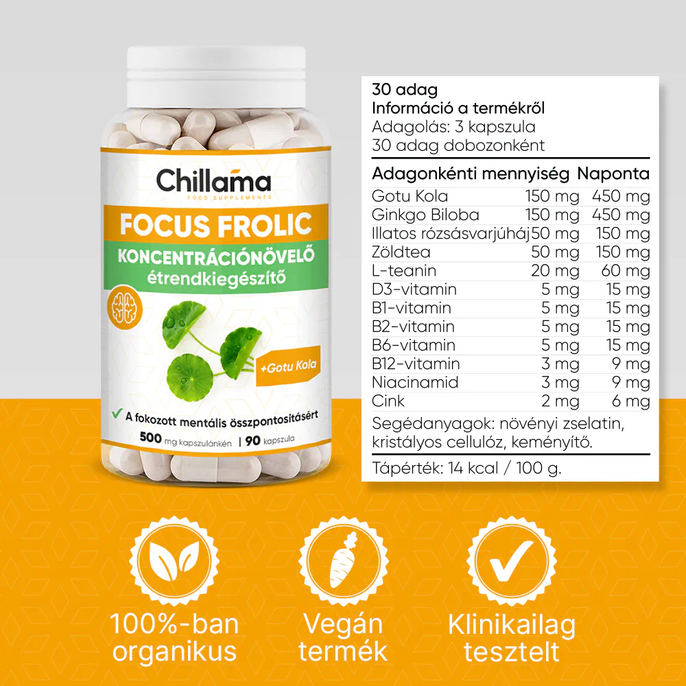 FocusFrolic - a maximális gondolkodásért