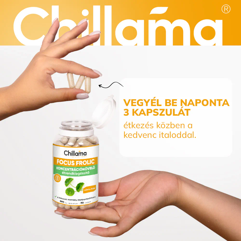 FocusFrolic - a maximális gondolkodásért