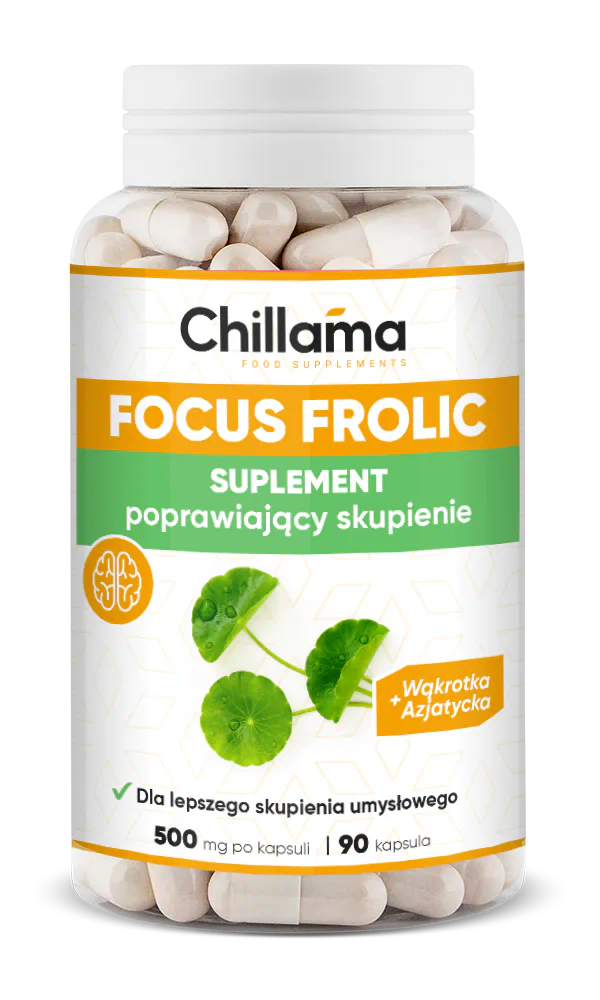 FocusFrolic - dla Twojego pełnego potencjału